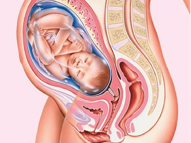 sự phát triển của thai nhi tuần 34