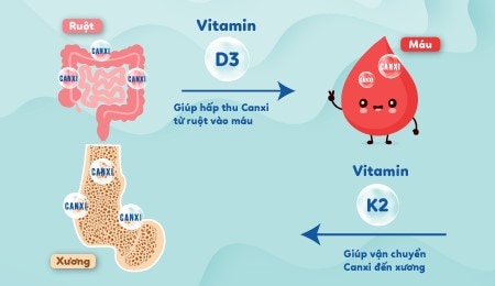 vitamin-d3k2-la-gi-2